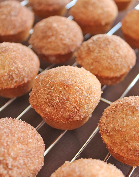 vegan-gluten-free-cake-doughnut-mini-muffins.jpg